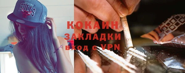 шишки Вязники