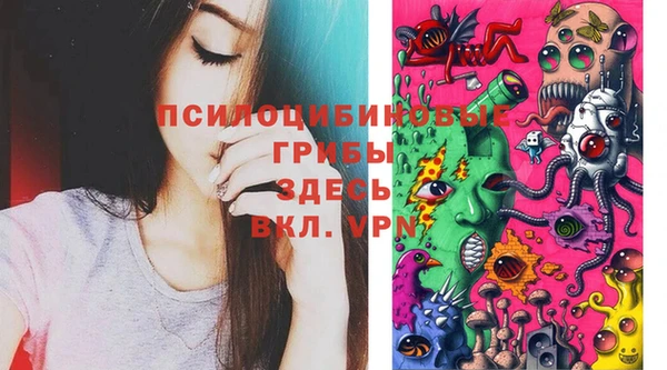 гашиш Вяземский