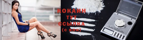 шишки Вязники