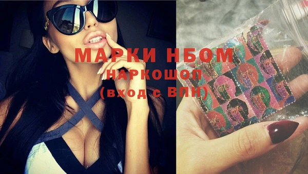 шишки Вязники