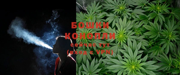 шишки Вязники