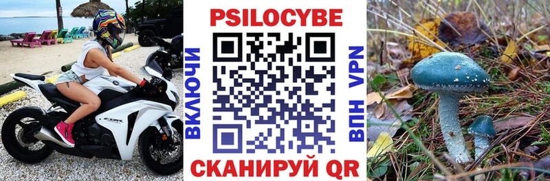 Галлюциногенные грибы MAGIC MUSHROOMS  Петушки 